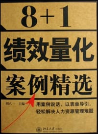 8+1绩效量化案例精选