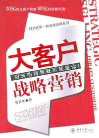 书籍 大客户战略营销的封面