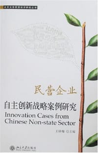 民营企业自主创新战略案例研究