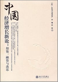 中国经济增长新论