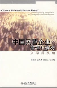 中国民营企业的管理和绩效