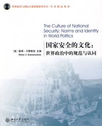 国家安全的文化