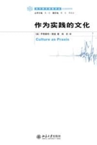 作为实践的文化