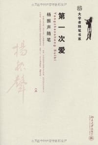 第一次爱