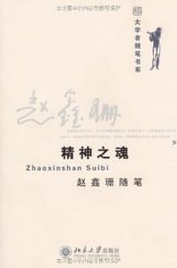 书籍 精神之魂的封面
