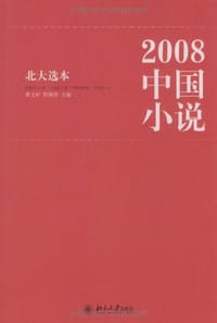 2008中国小说 - 无名图书