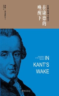 在康德的唤醒下 - [美] 汤姆·洛克摩尔