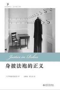 书籍 身披法袍的正义的封面