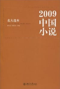 2009中国小说