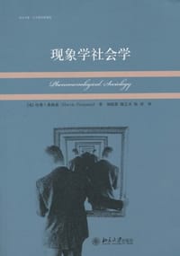 现象学社会学 - [英] 哈维·弗格森