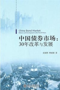 中国债券市场 - 沈炳熙
