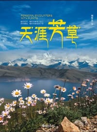 书籍 天涯芳草的封面