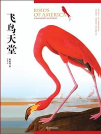 书籍 飞鸟天堂的封面