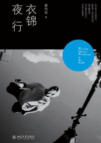 书籍 衣锦夜行的封面