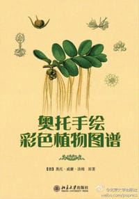 奥托手绘彩色植物图谱 - 奥托•威廉•汤姆