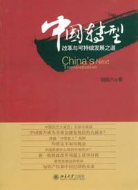 书籍 中国转型的封面