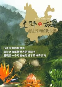 迷醉之旅