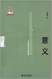 书籍 意义的封面