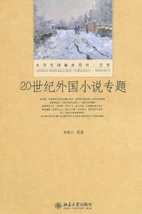 书籍 20世纪外国小说专题的封面