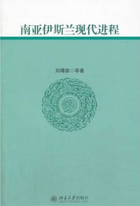 南亚伊斯兰现代进程