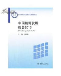 中国能源发展报告2013