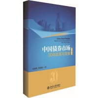 中国债券市场（第二版）