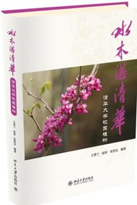 水木湛清华 - 王菁兰