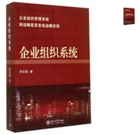 书籍 企业组织系统的封面