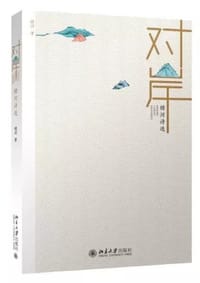对岸