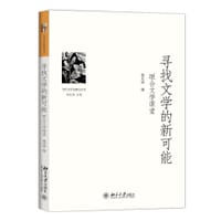 寻找文学的新可能