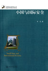 小国与国际安全 - 韦民