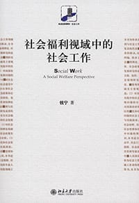 书籍 社会福利视域中的社会工作的封面