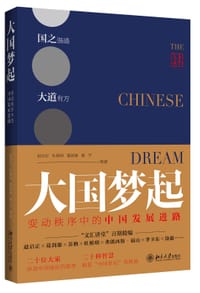 书籍 《大国梦起：变动秩序中的中国发展进路》的封面