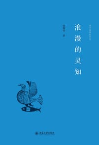 浪漫的灵知 - 胡继华