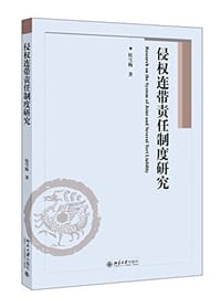 侵权连带责任制度研究