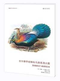 古尔德手绘雉科鸟类高清大图