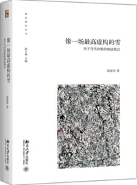 书籍 像一场最高虚构的雪的封面