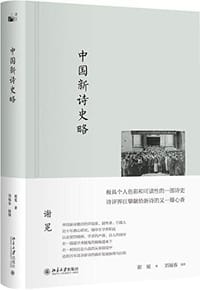 书籍 中国新诗史略的封面