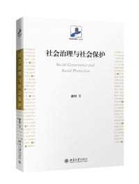书籍 社会治理与社会保护的封面