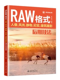 书籍 RAW格式摄影后期技法的封面