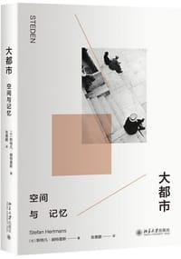 大都市 - [比] 斯特凡·赫特曼斯