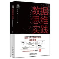 数据思维实践 - 潘蕊 等著