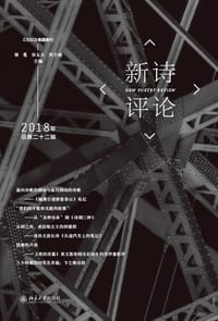 书籍 新诗评论2018年的封面