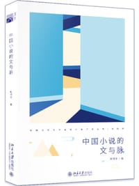 书籍 中国小说的文与脉的封面