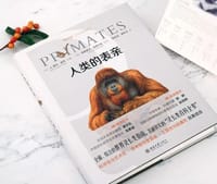 人类的表亲