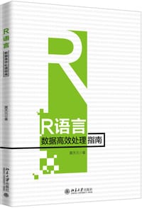 R语言数据高效处理指南