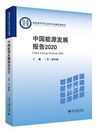 中国能源发展报告2020