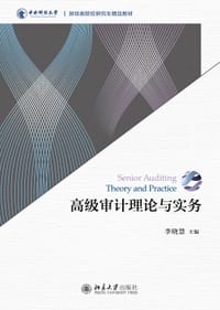 高级审计理论与实务