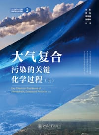 书籍 大气复合污染的关键化学过程（上）的封面