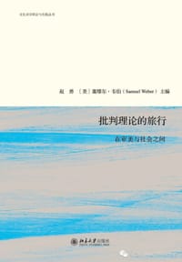 书籍 批判理论的旅行的封面